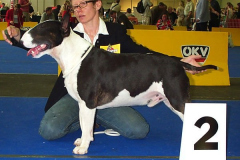 Int. Ch. EX SE NATUS SOPRANO Jedi