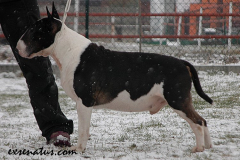 5Int. Ch. EX SE NATUS SOPRANO Jedi