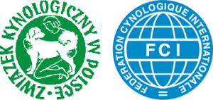 Hodowla bulterierów zrzeszona w ZKwP FCI