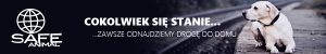 Linki Baza zaczipowanych psów Safe Animal