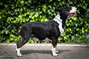 miot M 2022 YOU’RE SO CHILDISH BY STARCINCO x NEVERMIND Ex Se Natus