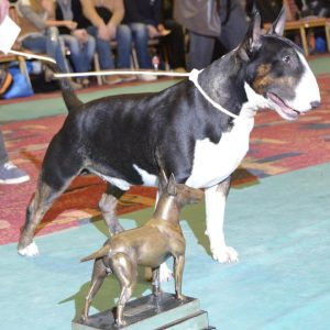 hitman miot E 2015 PADHEN HITMAN x TRUST ME Ex Se Natus