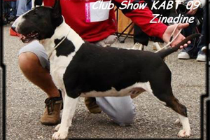 miot I 2014 Pannonszepe ZINADINE x SNAKE EYES Ex Se Natus