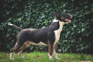 27 miot M 2024 HUNTING LOVE Ex Se Natus x HOW BEAUTIFUL YOU ARE Ex Se Natus