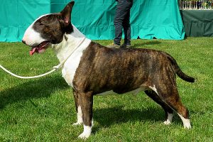 miot M 2022 YOU’RE SO CHILDISH BY STARCINCO x NEVERMIND Ex Se Natus