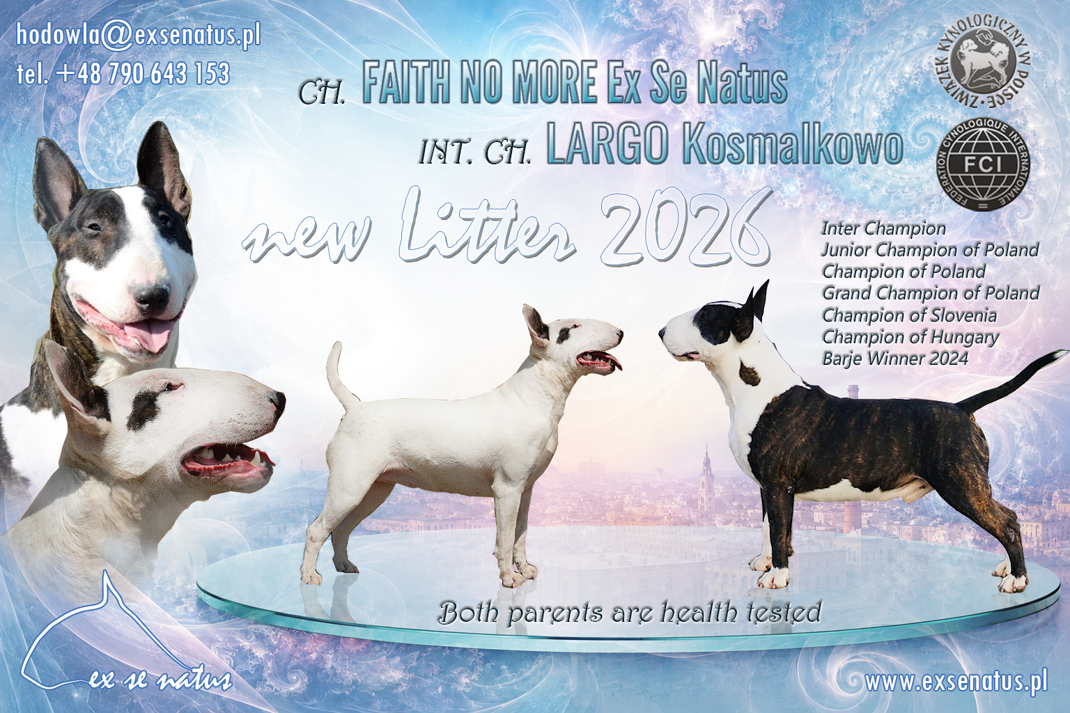zapowiedz_stefa_largo Mioty obecne